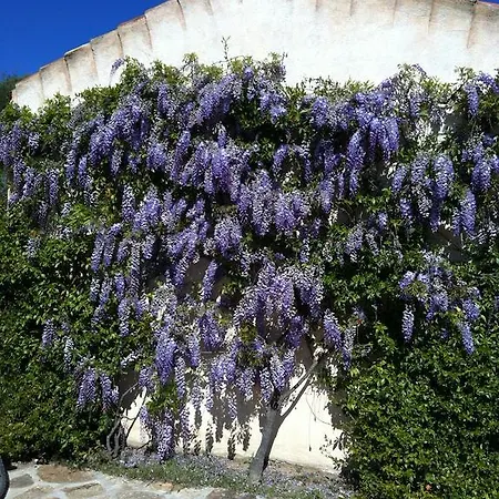 펜션 Borgo Sul Mare *